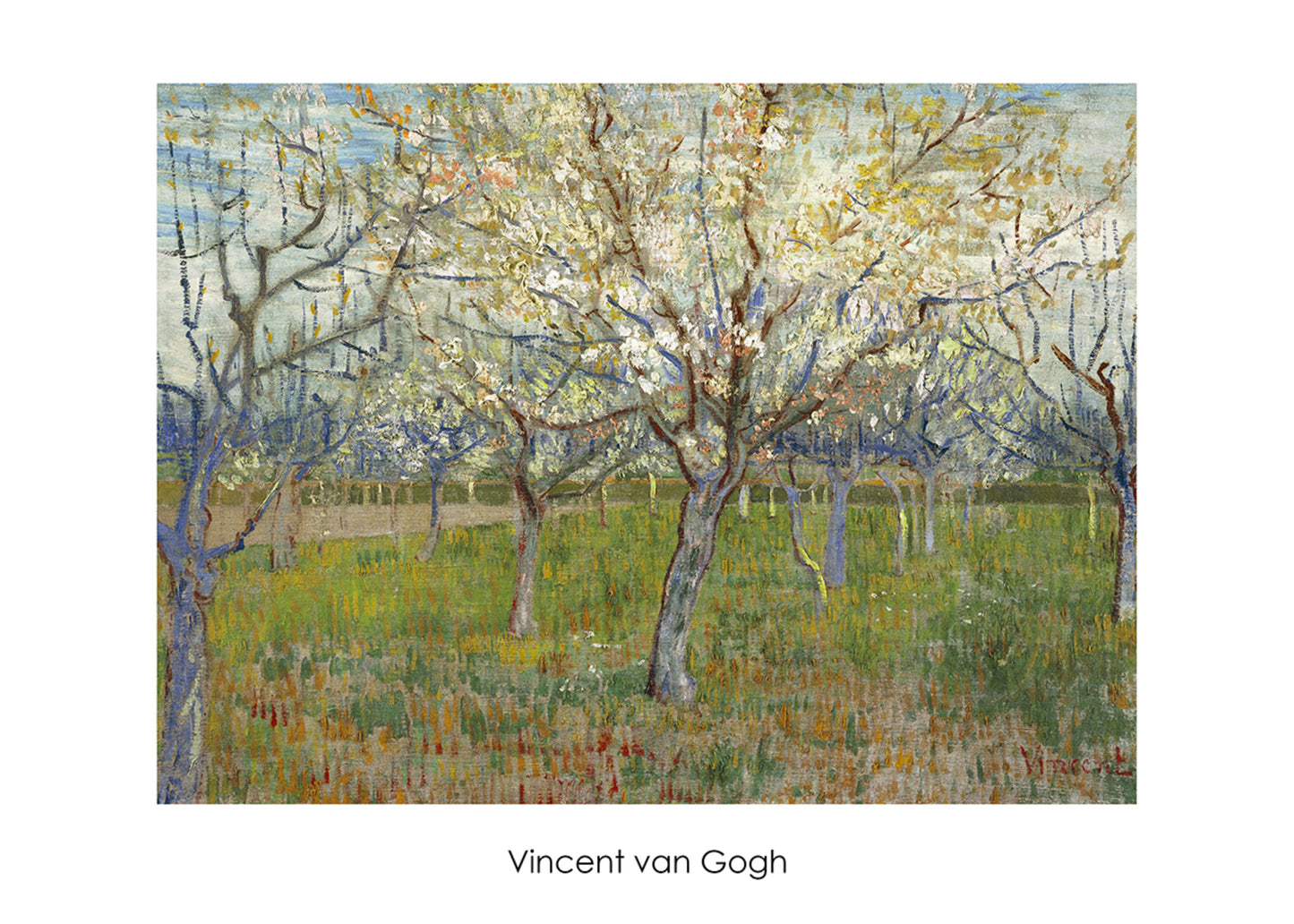 Affiche Art Vincent van Gogh - The Orchard 70x50cm