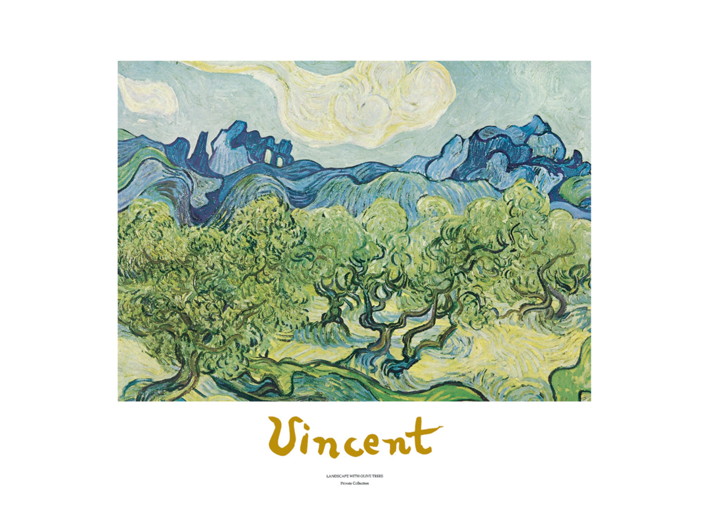 Affiche Art Vincent Van Gogh - Landscapes with olive trees 70x50cm