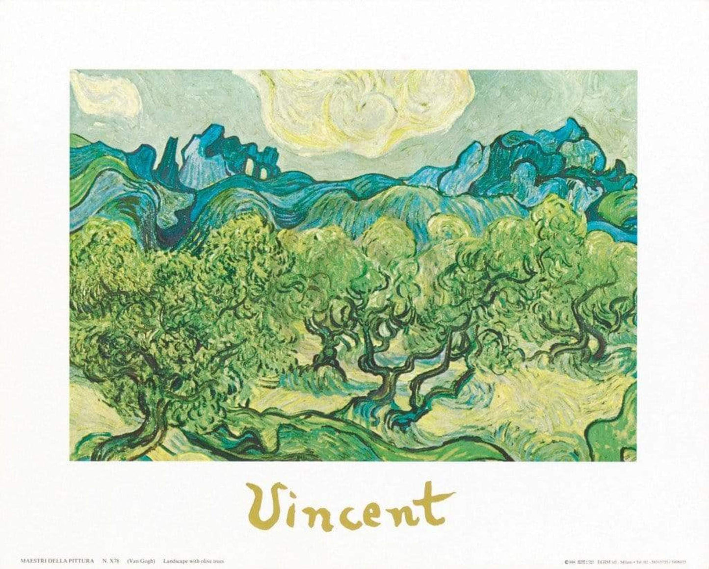 Affiche Art Vincent Van Gogh - Landscapes with olive trees 30x24cm