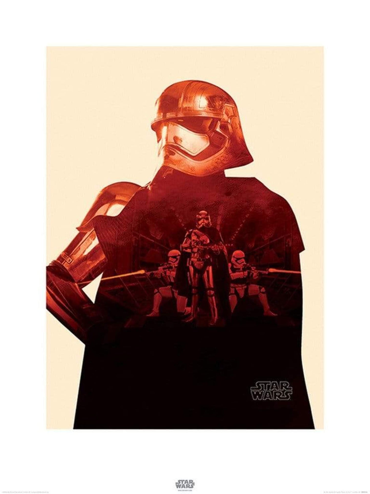Affiche Art Star Wars Episode VII Captain Phasma Tri 60x80cm