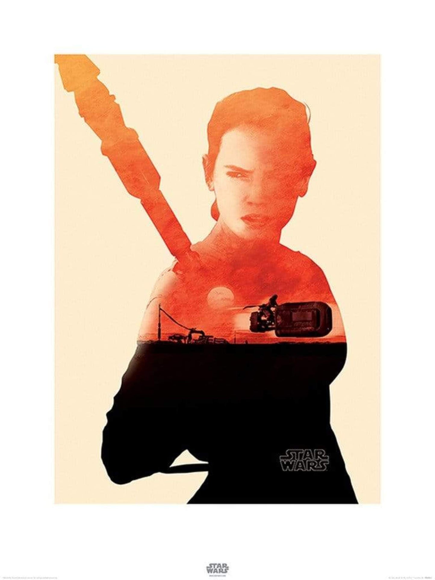 Affiche Art Star Wars Episode VII Rey Tri 60x80cm