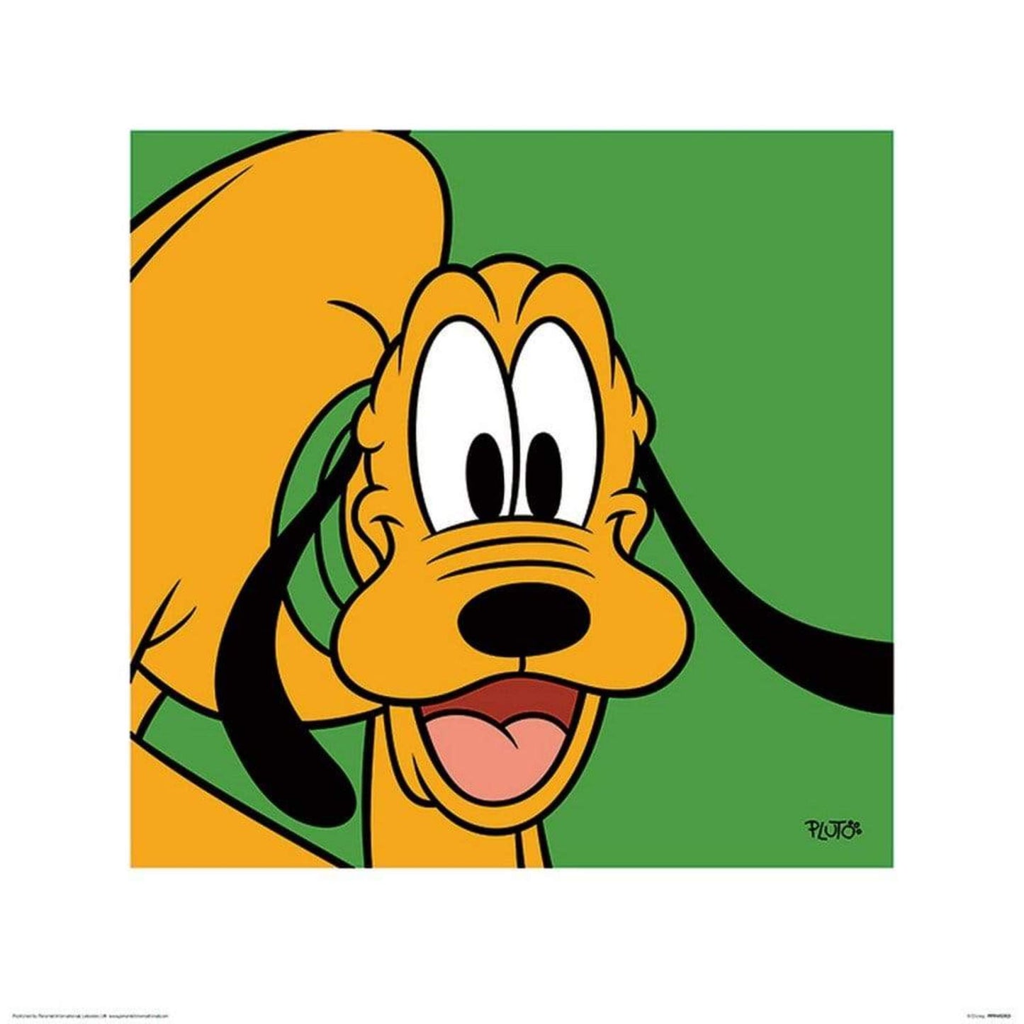 Affiche Art Pluto Green 40x40cm