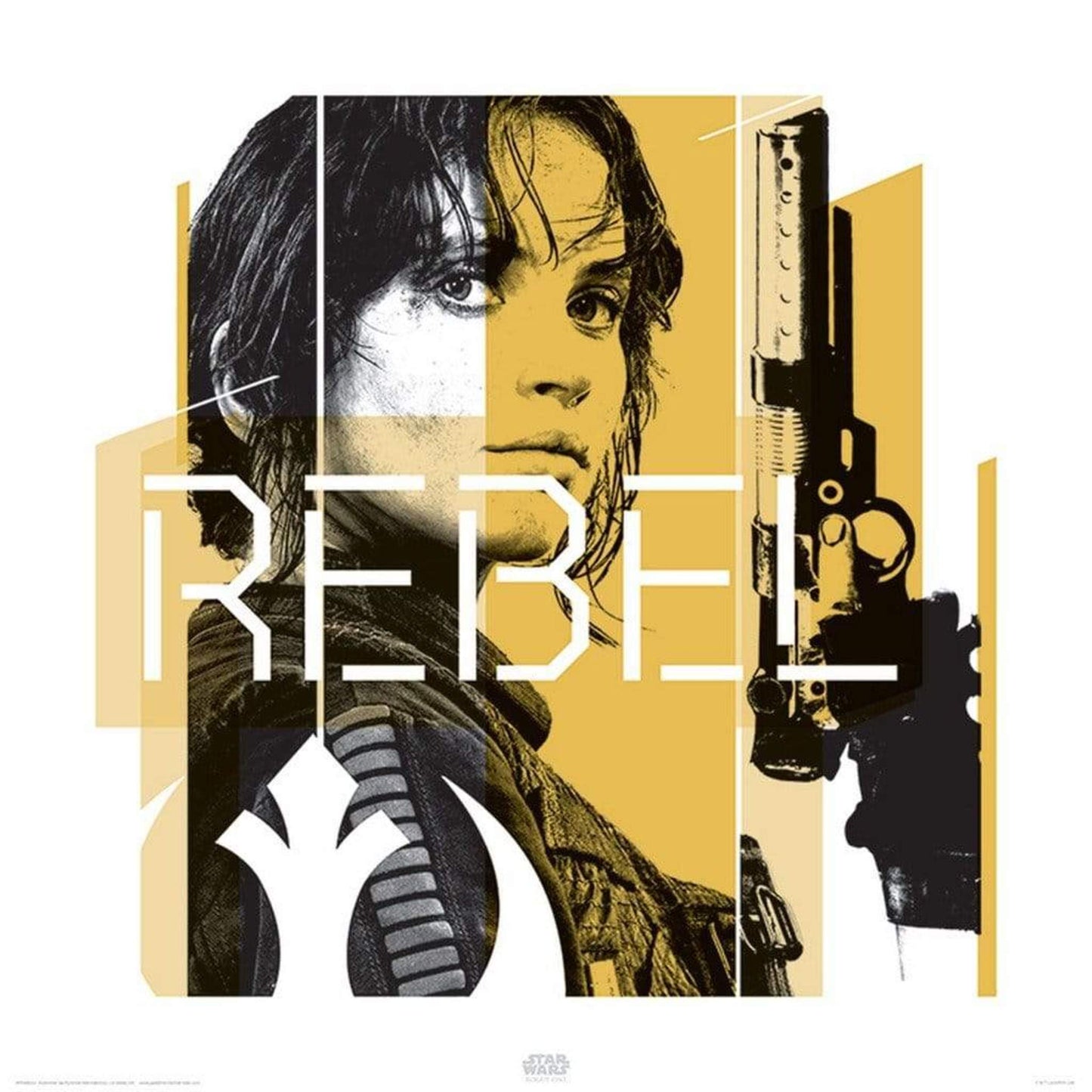 Affiche Art Star Wars Rogue One Jyn Rebel 40x40cm