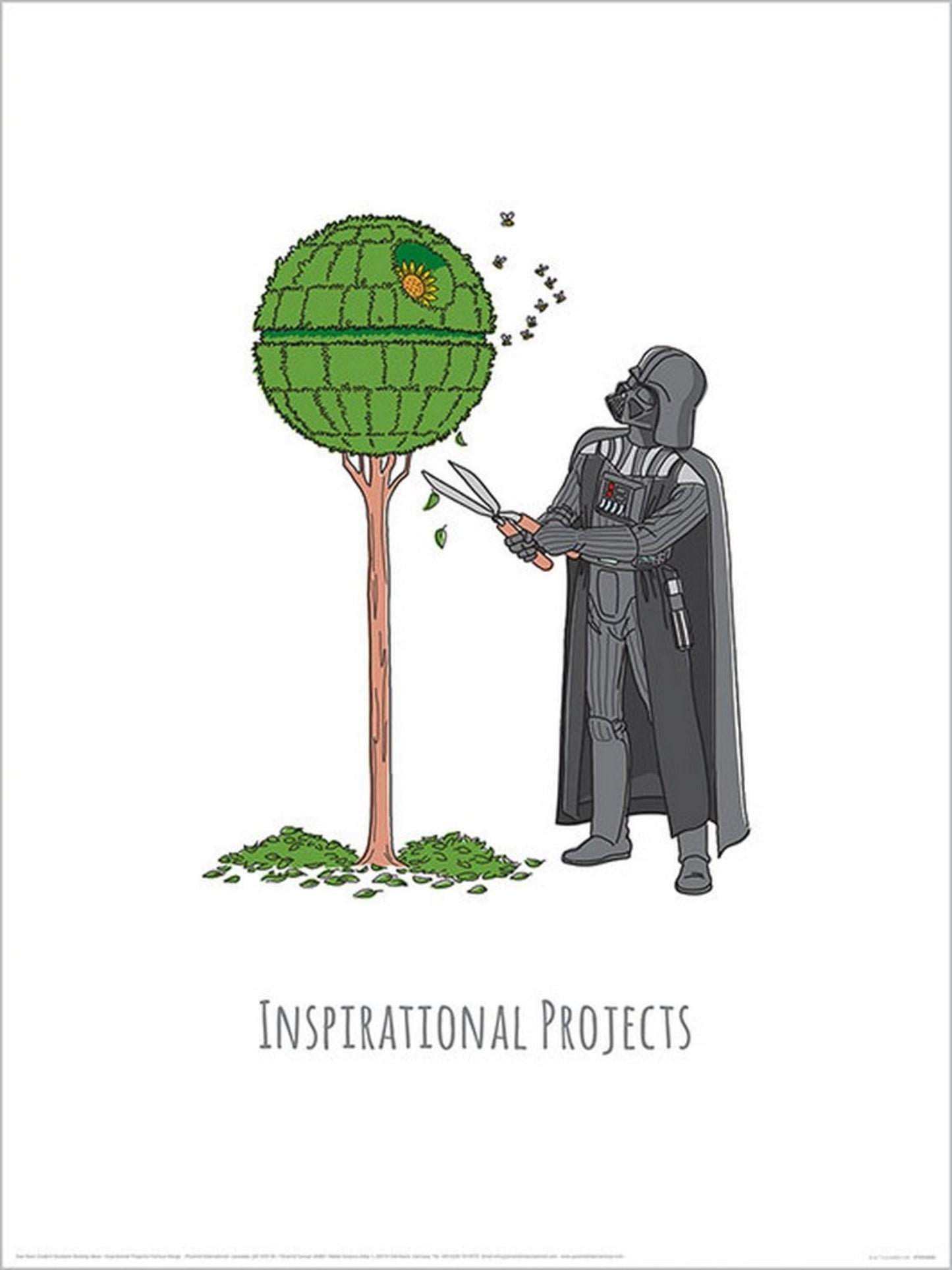 Star Wars Vaders Boredom Busting Ideas Inspirational Projects Affiche Art 30x40cm