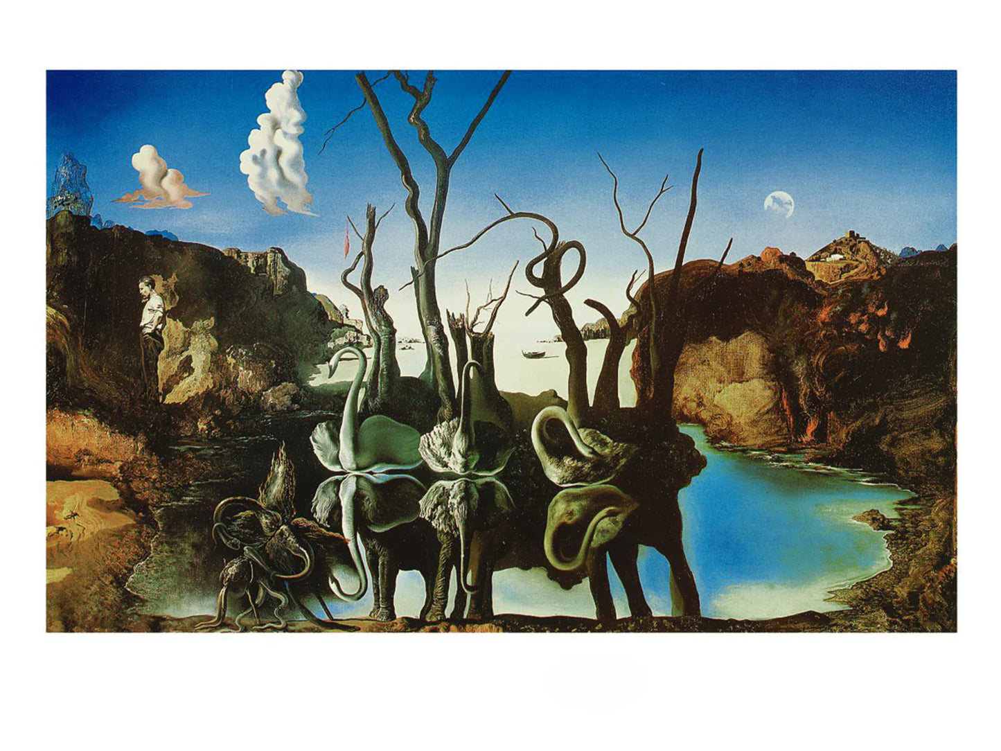 Affiche Art Salvador Dali - Reflections of Elephants 80x60cm