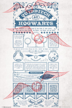 Poster Harry Potter - Quidditch at Hogwarts 61x91,5cm