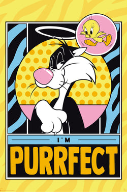 Poster Looney Tunes - Tweety and Sylveste 61x91,5cm