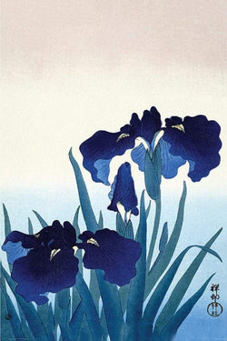Poster Ohara Koson Iris Flowers 61x91,5cm
