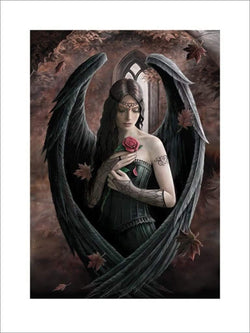 Affiche Art Anne Stokes - Angel Rose 60x80cm