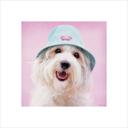 Affiche Art Rachael Hale - Cindy 40x40cm