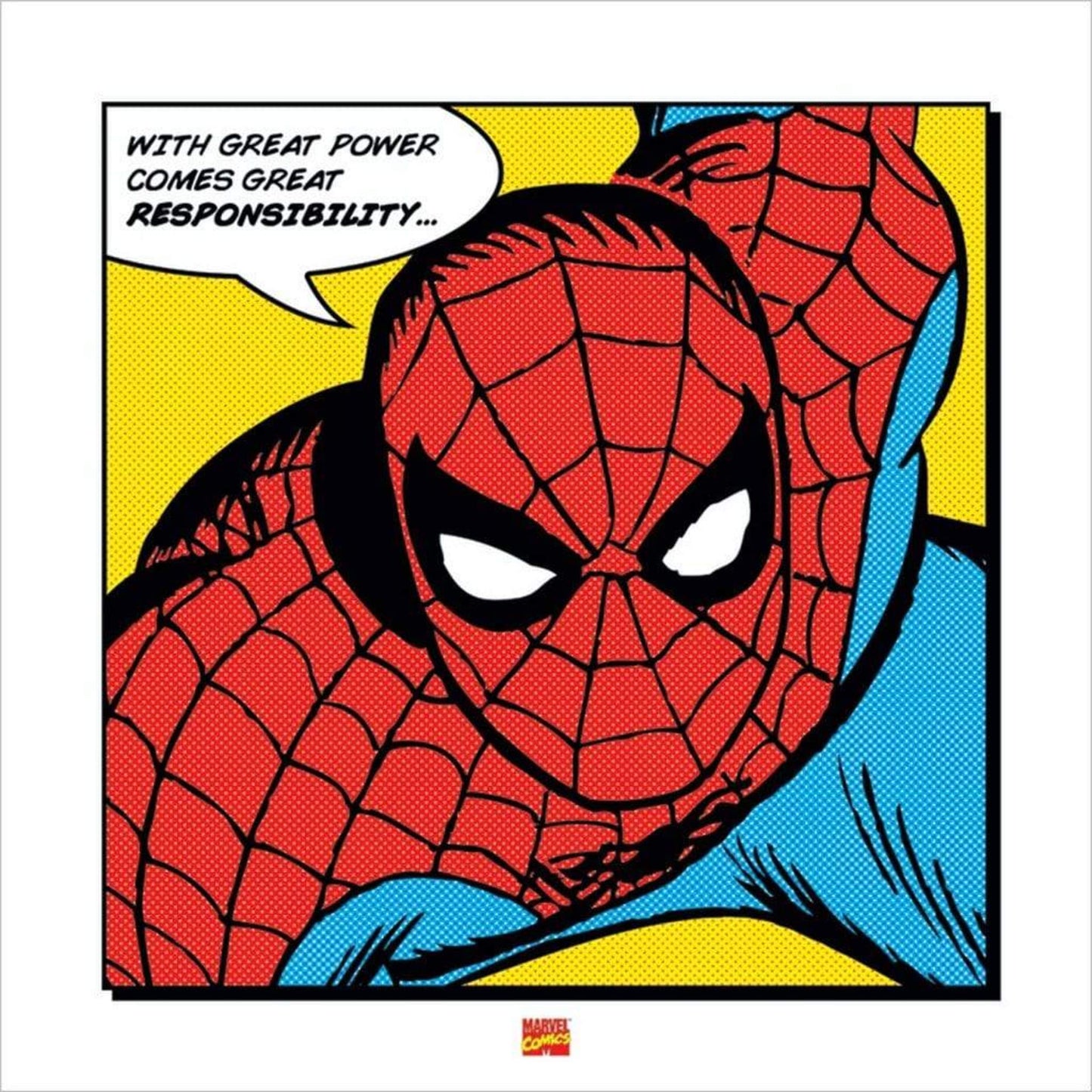 Affiche Art Spider-Man - With Great Power 40x40cm