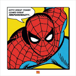 Affiche Art Spider-Man - With Great Power 40x40cm