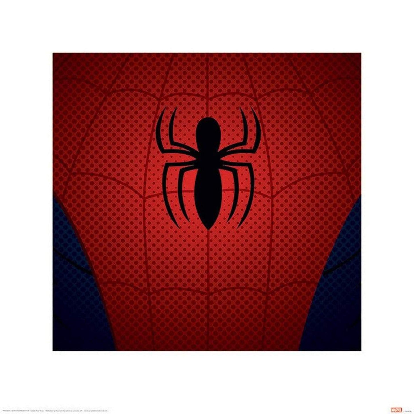 Affiche Art Ultimate Spider-Man Torso 40x40cm