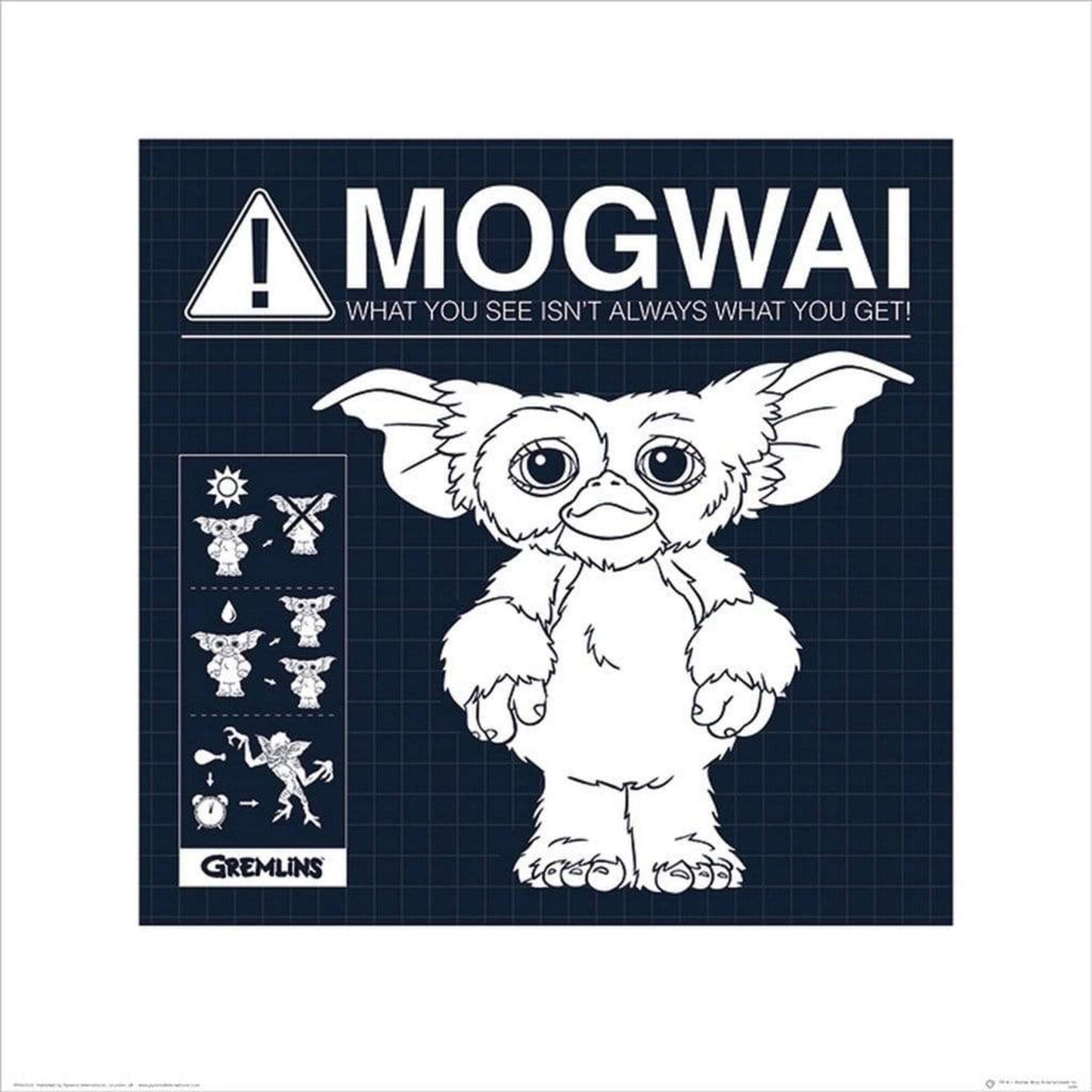 Affiche Art Gremlins - Mogwai Rules 40x40cm