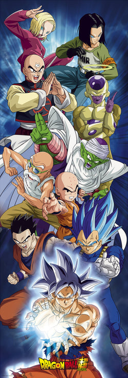 Poster Dragon Ball Super Door Group 53x158cm