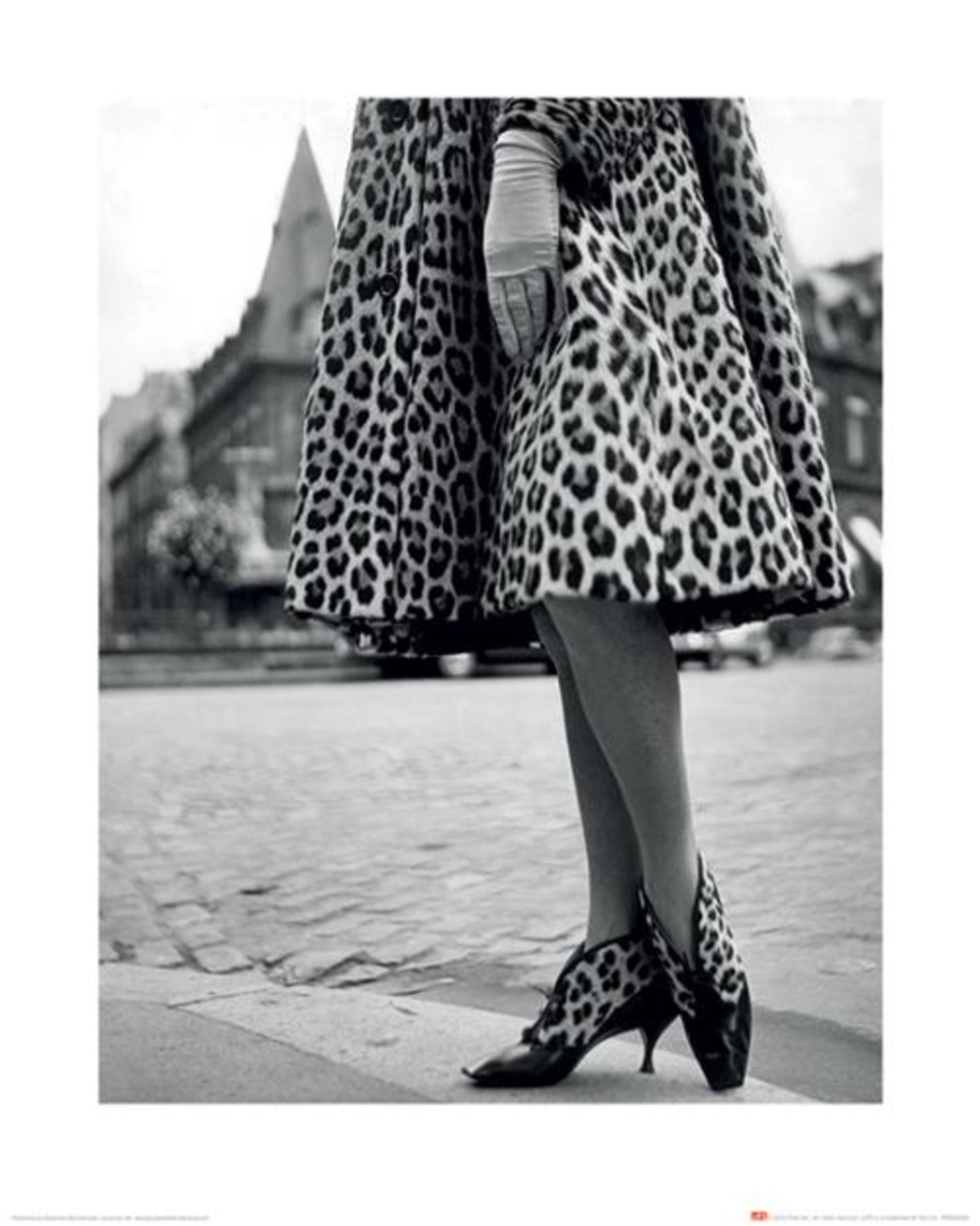 Affiche Art Time Life Dior Leopard Print 40x50cm