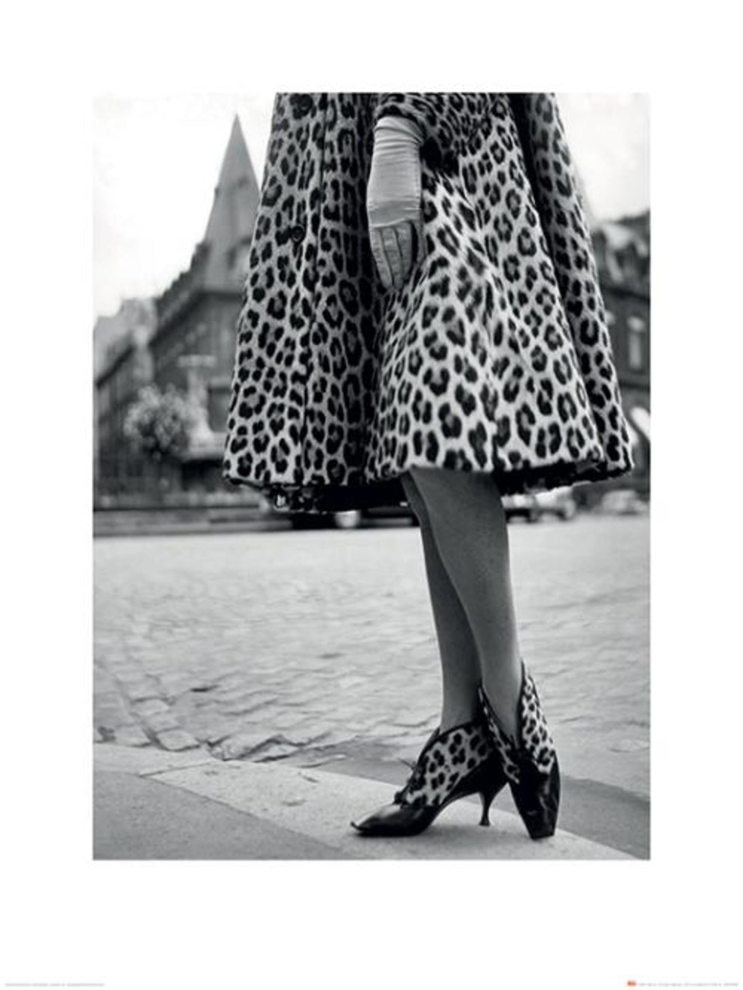 Affiche Art Time Life Dior Leopard Print 60x80cm