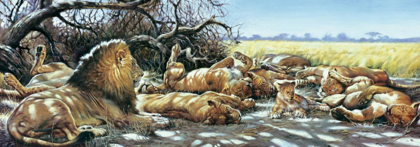 Affiche Art Renato Casaro - After breakfast 99x34cm