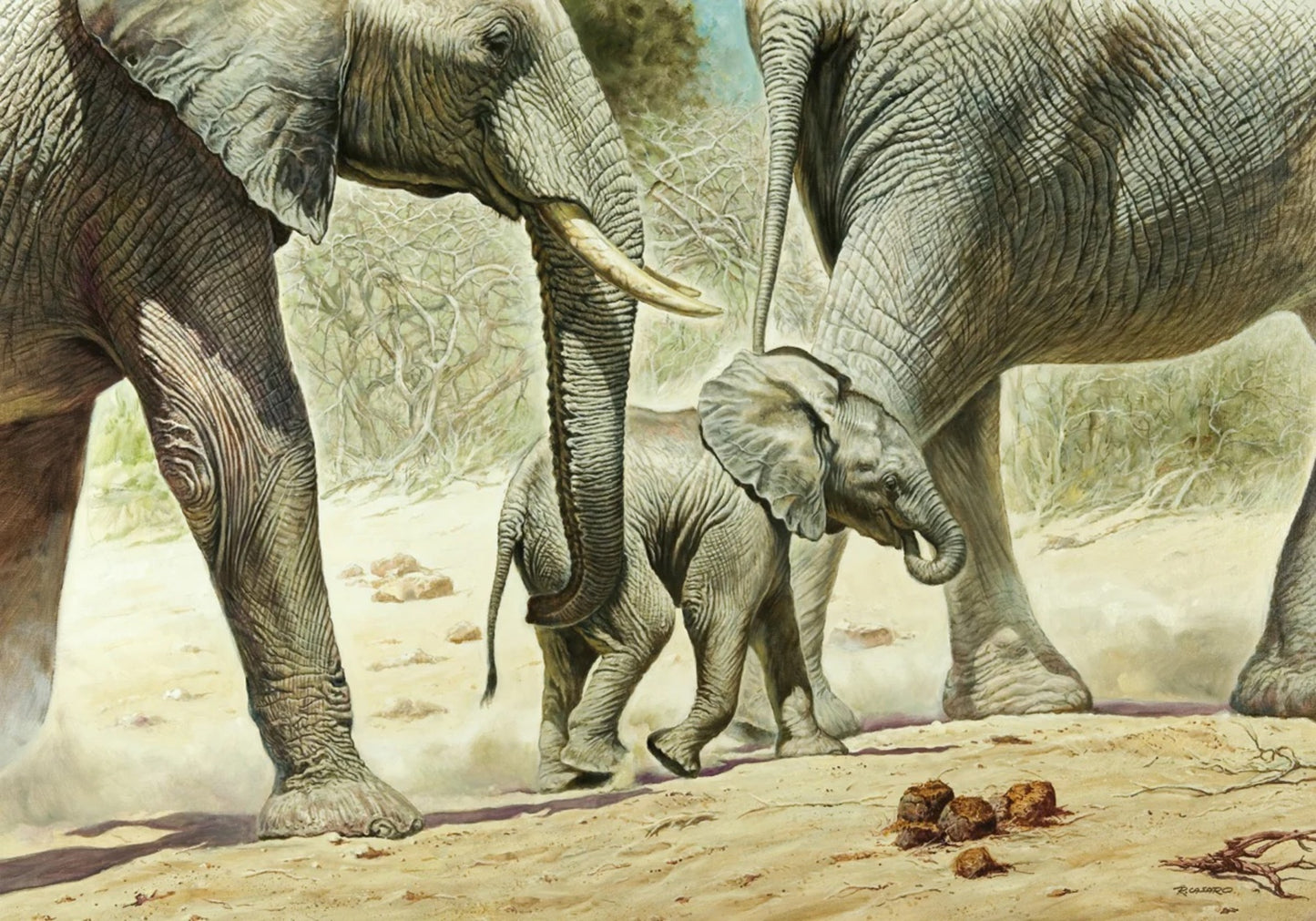 Affiche Art Renato Casaro - Go Baby Go 100x70cm