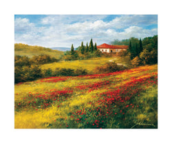 Affiche Art Heinz Schölnhammer - Landschaft mit Mohn I 60x50cm