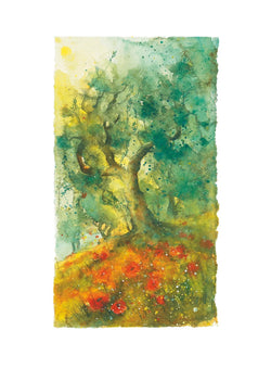 Affiche Art Ulrich Hartig - Oliven und Mohn 50x70cm
