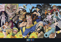 Poster One Piece Dressrosa 91,5x61cm