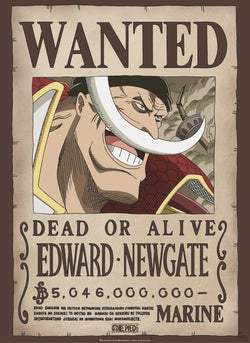 Poster One Piece - Wanted Whitebeard 38x52cm
