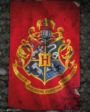 Poster Harry Potter Hogwarts Flag 40x50cm