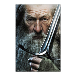 Poster The Hobbit Gandalf 61x91,5cm