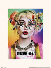 Affiche Art Birds of Prey Dazed and Confused 30x40cm