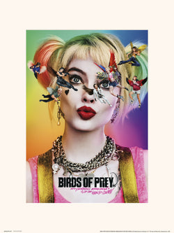 Affiche Art Birds of Prey Dazed and Confused 30x40cm
