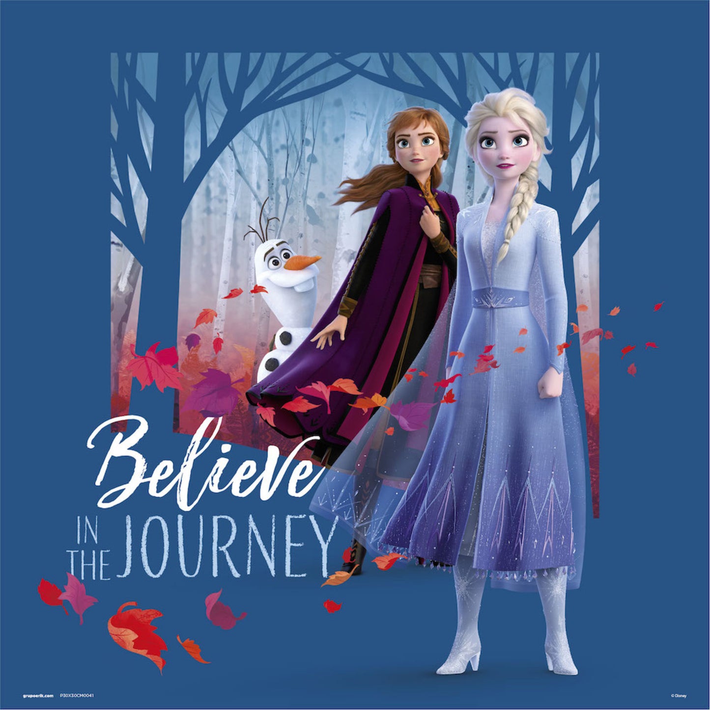 Affiche Art Frozen Believe in the Journey 30x30cm