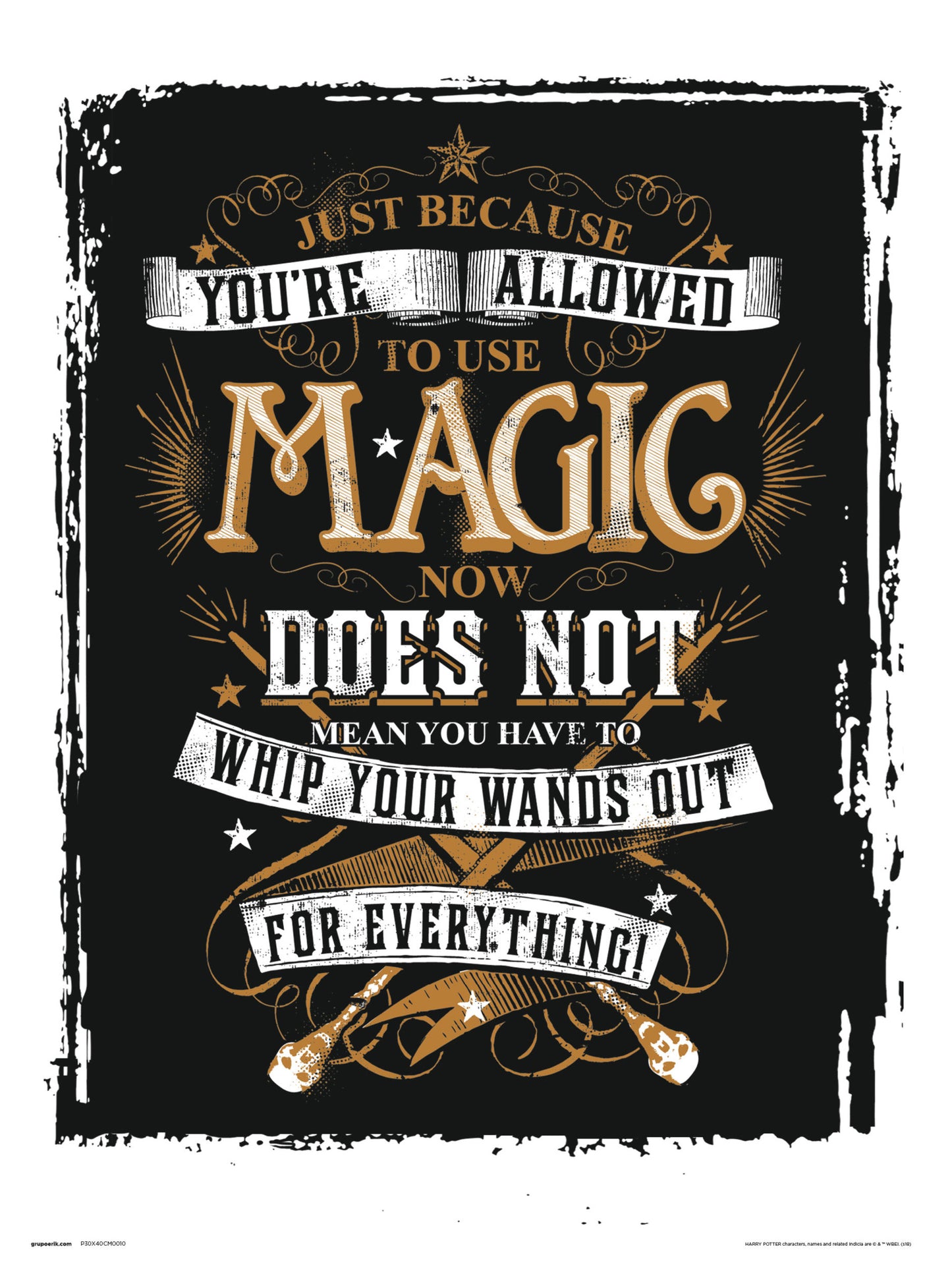 Affiche Art Harry Potter Magic 30x40cm