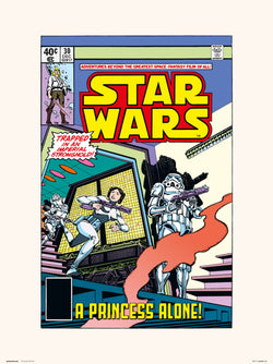 Affiche Art Star Wars 30 A Princess Alone 30x40cm