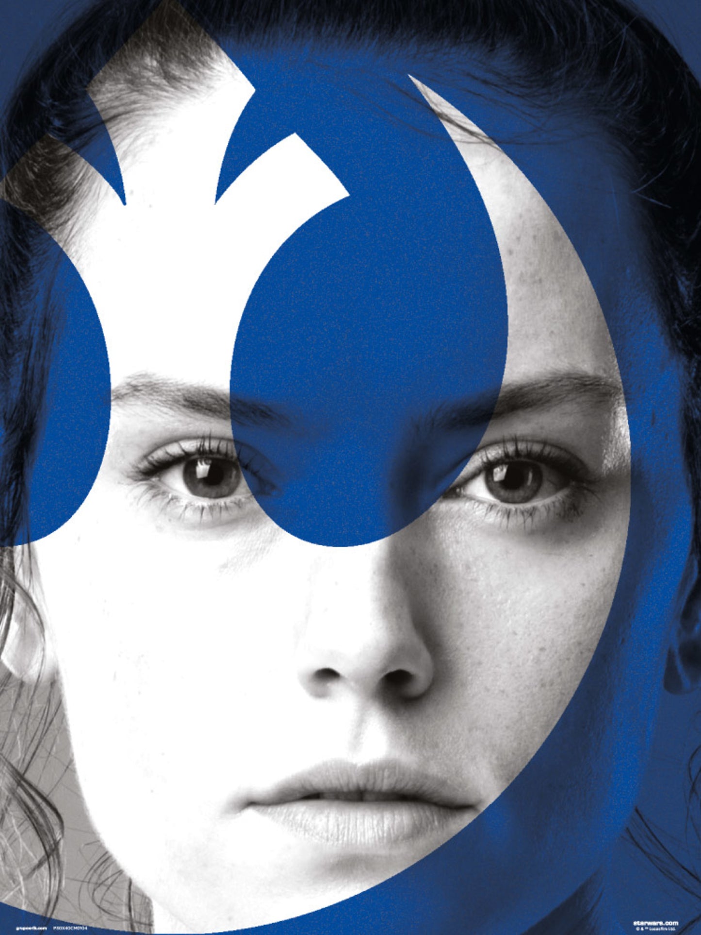 Affiche Art Star Wars Episode IX Rey 30x40cm