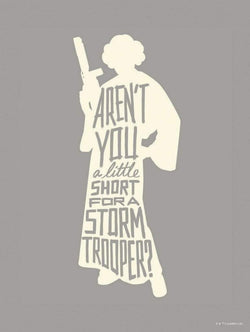 Affiche Art Star Wars Silhouette Quotes Leia 30x40cm