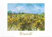 Affiche Art Vincent Van Gogh - The Green Vineyard 70x50cm
