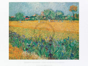 Affiche Art Vincent Van Gogh - Vista di Arles Con Irises 80x60cm