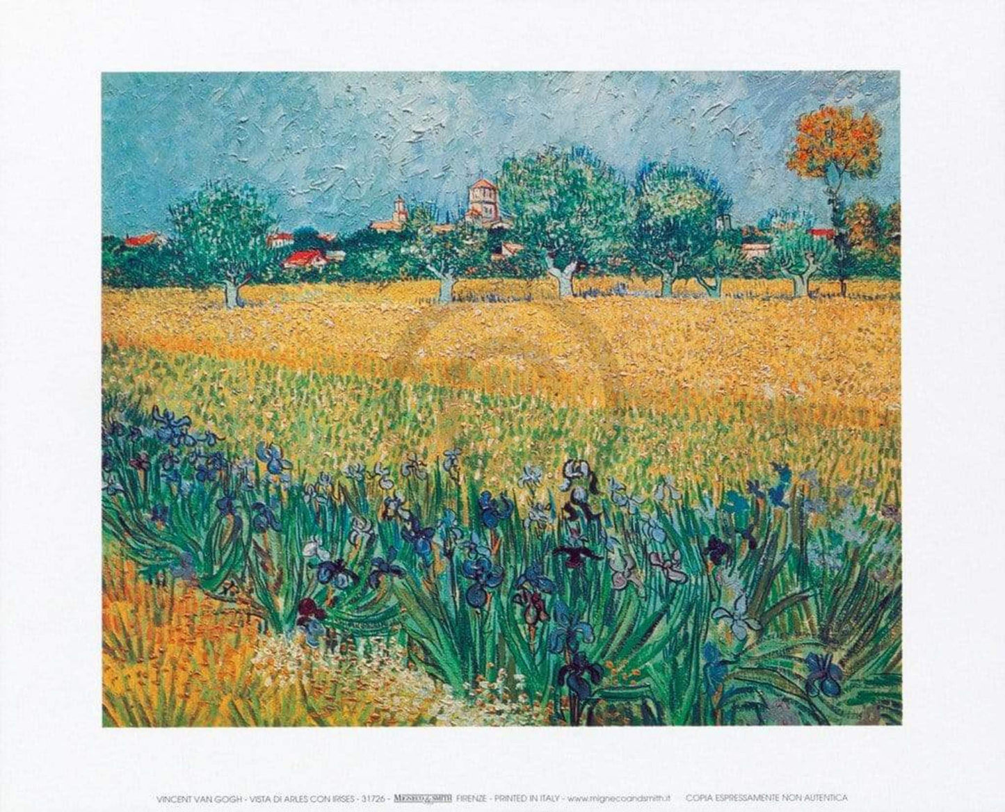 Affiche Art Vincent Van Gogh - Vista di Arles Con Irises 30x24cm