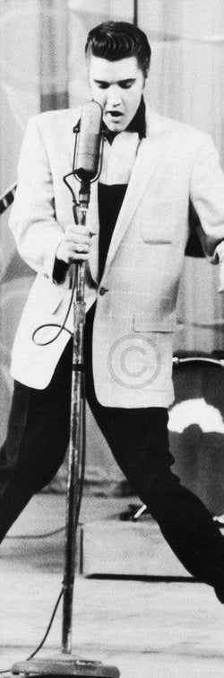 Affiche Art Edward Lunch - The King Klein 30x91cm