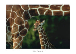 Affiche Art Cioli - When I grow up 70x50cm
