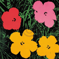 Affiche Art Andy Warhol - Flowers C. 1964 - 60x60cm