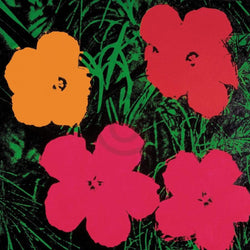 Affiche Art Andy Warhol - Flowers C. 1964 60x60 cm