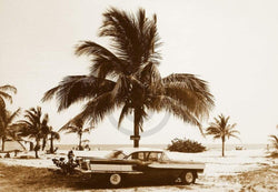 Affiche Art Barbara Dombrowski - Havanna III 70x50cm