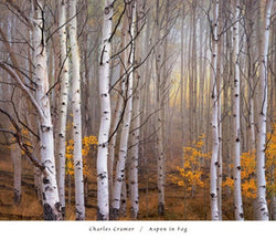 Affiche Art Charles Cramer - Aspen in Fog 76x66cm