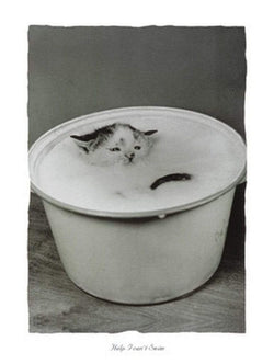 Affiche Art B. Creative - Help I can't swim 30x40cm