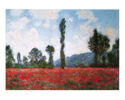Affiche Art Claude Monet - Campo di papaveri 50x40cm