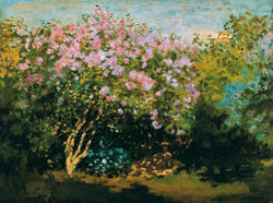 Affiche Art Claude Monet - Blühender Flieder in der Sonne 80x60cm