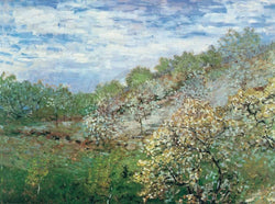 Affiche Art Claude Monet - Bäume in Blüte 80x60cm