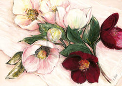 Affiche Art Elisabeth Krobs - Elegant Anemones 100x70cm
